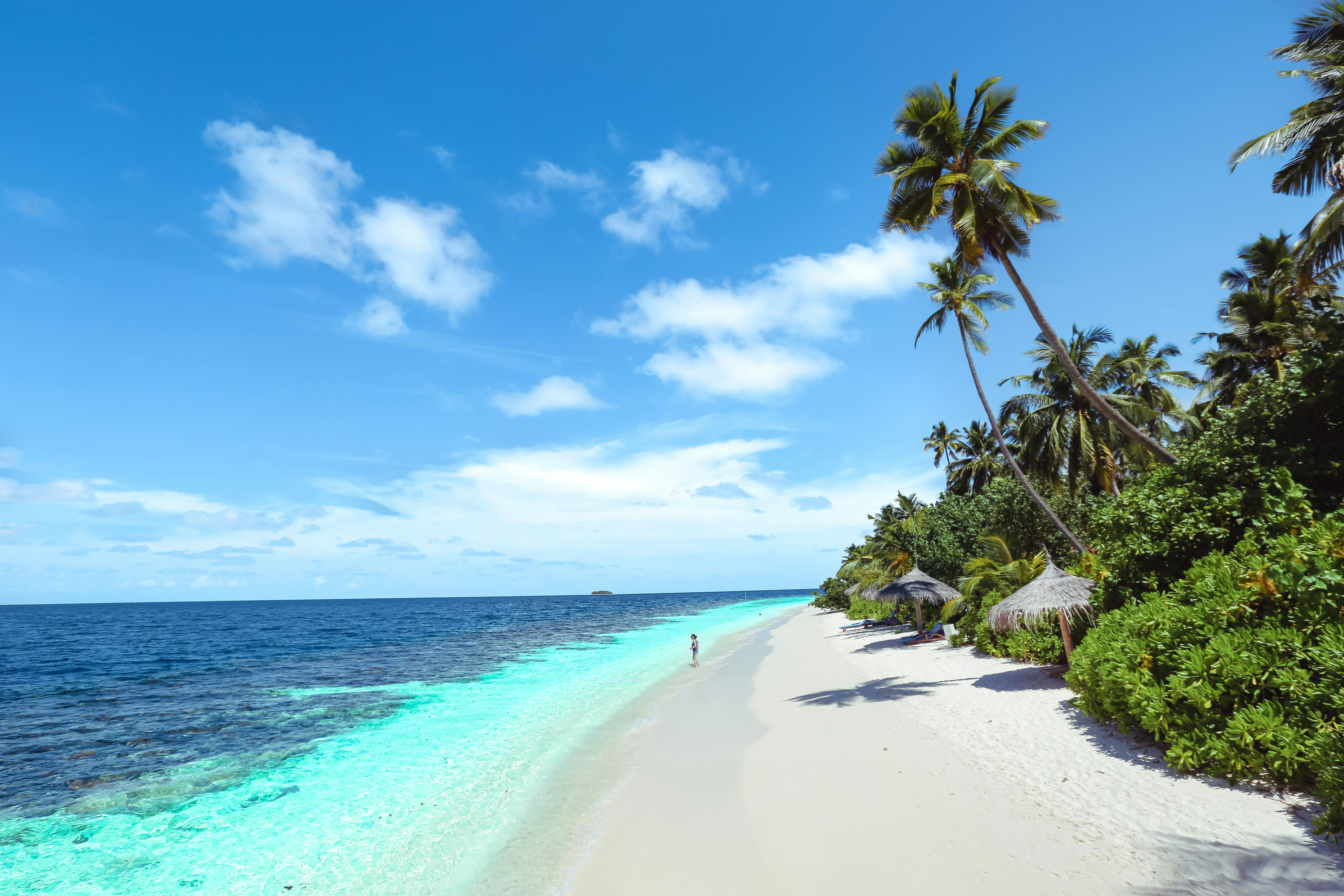 Praia tropical com mar turquesa, areia branca e palmeiras
